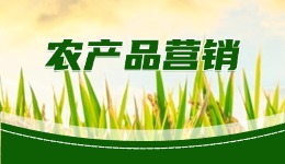 淘宝店铺的开设