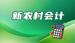 新农村会计-账户