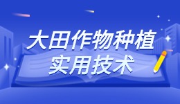 大田作物种植实用技术