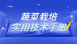 蔬菜栽培实用技术手册