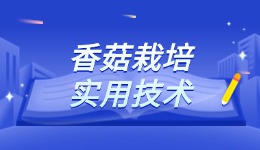 香菇栽培实用技术